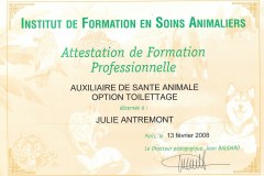 Attestation-de-formation-auxiliaire-veterinaire-option-toilettage-2008