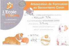 Attestation-formation-au-secourisme-canin-18-Juillet-2015