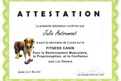 Fitness-canin-26-et-27-mai-2018