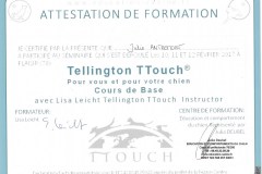 Tellington-TTouch-1011-12-Février-2017-