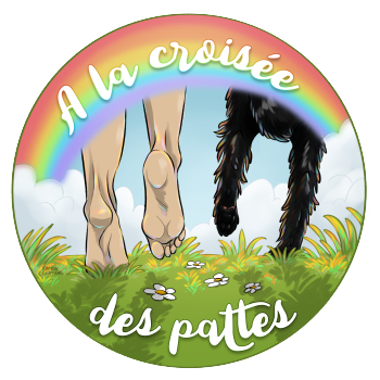 À la Croisée des Pattes